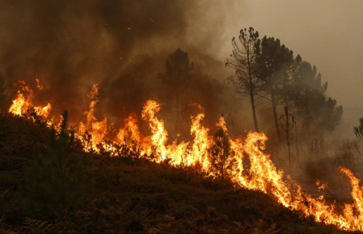 Повик за евакуација на 30.000 луѓе: Шумски пожари во Австралија