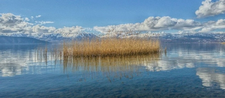 Зголемени водостоите на сите реки, за 1 сантиметар и на Охридското Езеро
