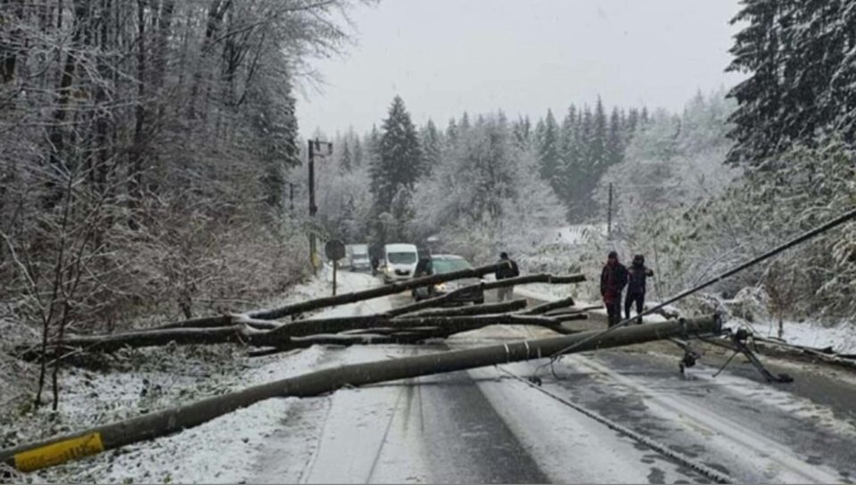 Силно невреме во Бугарија и Романија: Прекин на електричната енергија и соборени дрвја