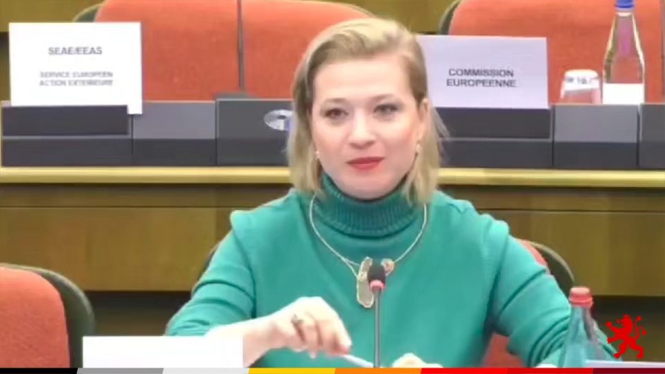 Василевска од Стразбур: Според ЗНМ Владата покажала недостиг на капацитет ефективно да го санкционира прекршувањето на правата на новинарите и да ја заштити нивната безбедност