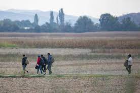 Во Србија пронајдени околу 4.780 мигранти кои се криеле во пограничните области