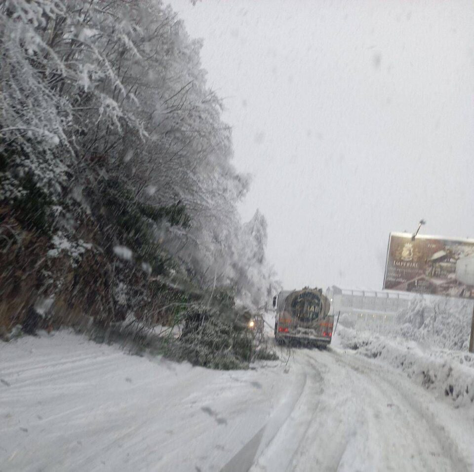 Снегот ја парализира Македонија: Блокирани патиштата, колони возила заглавени на Стража