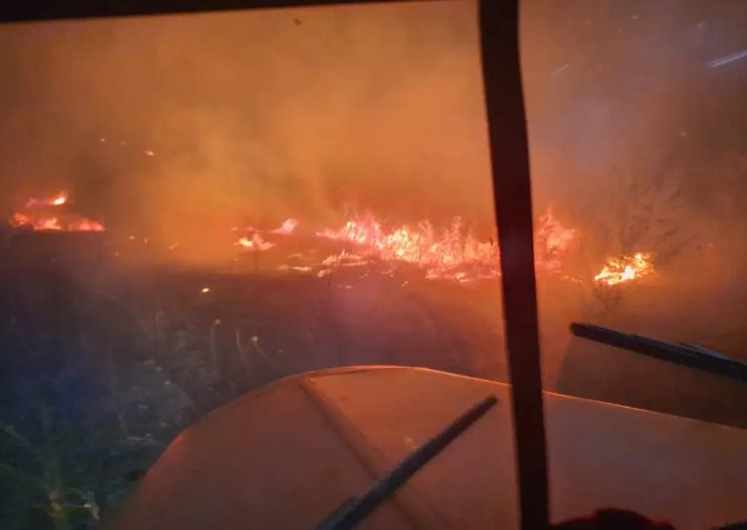 (ФОТО) Пожар под Тимјаничка цуцка кај Неготино