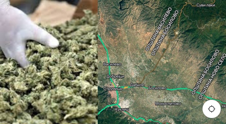 Во струмичко исчезна 6 милиони евра вредна марихуана – доказите во опасност, МВР, обвинителството и судот на потег