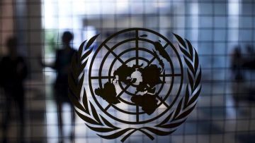 Во свет опфатен со несигурности, Обединетите нации (ОН) даваат мрачни економски прогнози за 2024 година. Извештајот ги нагласува ескалацијата на конфликтите, слабата глобална трговија, постојано високите каматни стапки и влошените климатски услови како клучни предизвици.