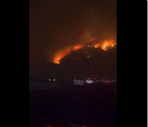 (ВИДЕО) Шумски пожари беснеат во Чиле, над 50 лица загинаа