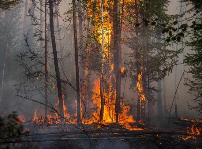 Во Чиле прогласена дводневна жалост поради жртвите во пожарите