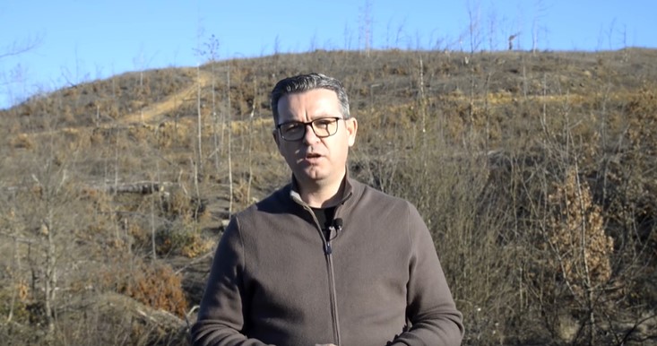 (ВИДЕО) Трипуновски: Наместо пошумување на опожарените површини, власта преку фирми блиски до нив продолжува да ги уништува македонските шуми