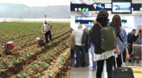 Катастрофа во земјоделството: Емиграцијата на младите остави пусти полиња и села – производството на храна во нацијата е во опасност од колапс
