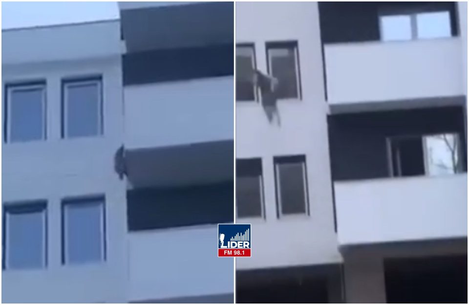 (ВОЗНЕМИРУВАЧКО ВИДЕО) Куче фрлено од седми кат на зграда во Тетово