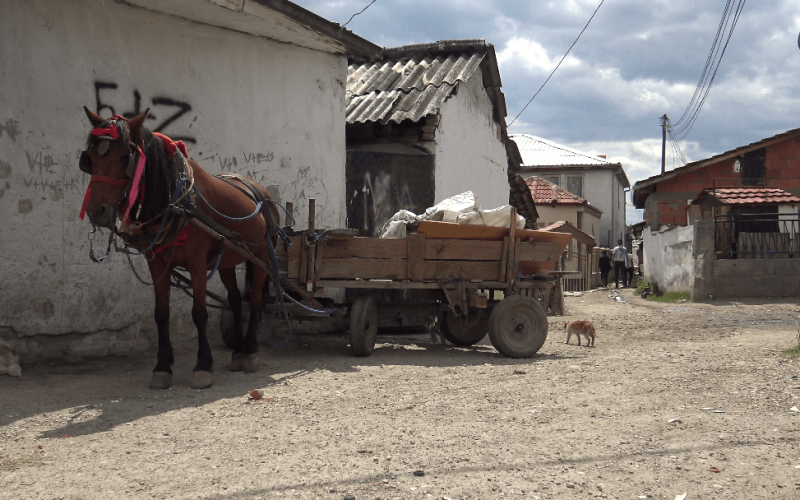Борба и издржливост: Животот на македонските Роми и потреба за подобрување на условите за живеење