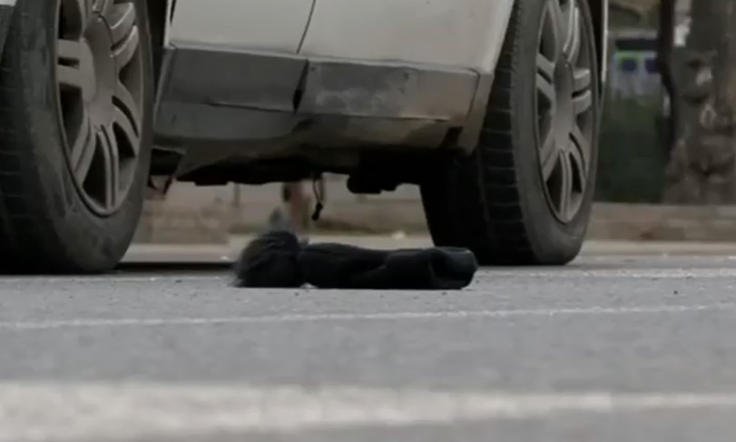 Прегазен 27-годишник во Скопје, повреден е и патник во автомобилот