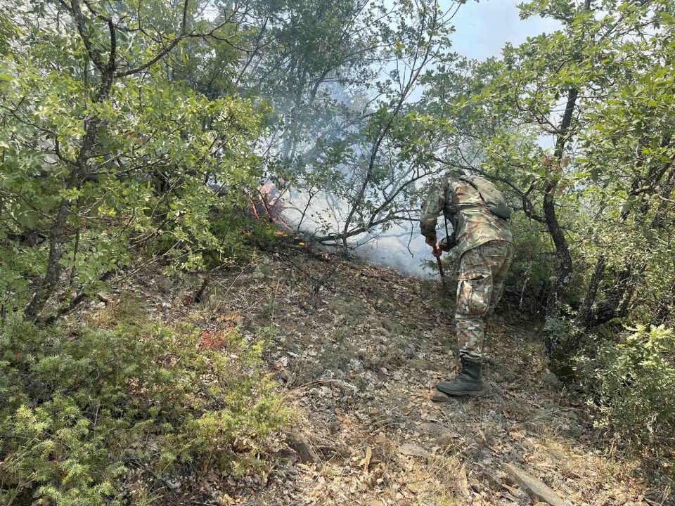 (ФОТО) Припадниците на Армијата се справуваат со пожарите во неготинско на терен и од воздух