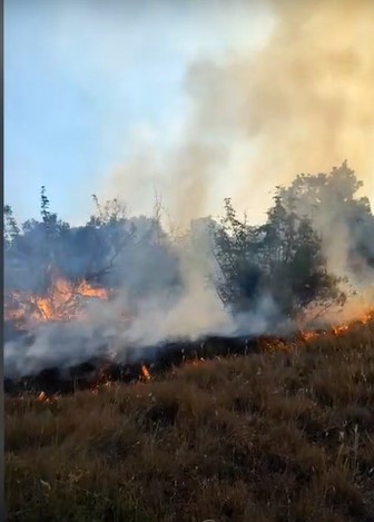 Најкритични остануваат шумските пожари во околината на Чашка и на планината Серта – Српските противпожарни екипи се враќаат дома, а прогнозите за дожд даваат надеж за олеснување на напорите за гаснење