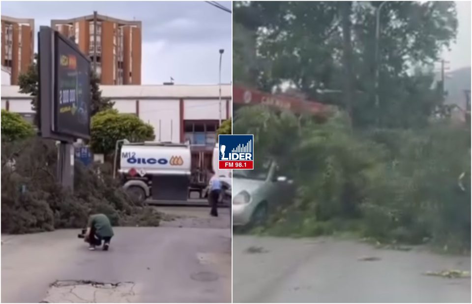 (ВИДЕО) Невреме во Скопје: Дрво падна врз жена кај поранешна „Нова Македонија“