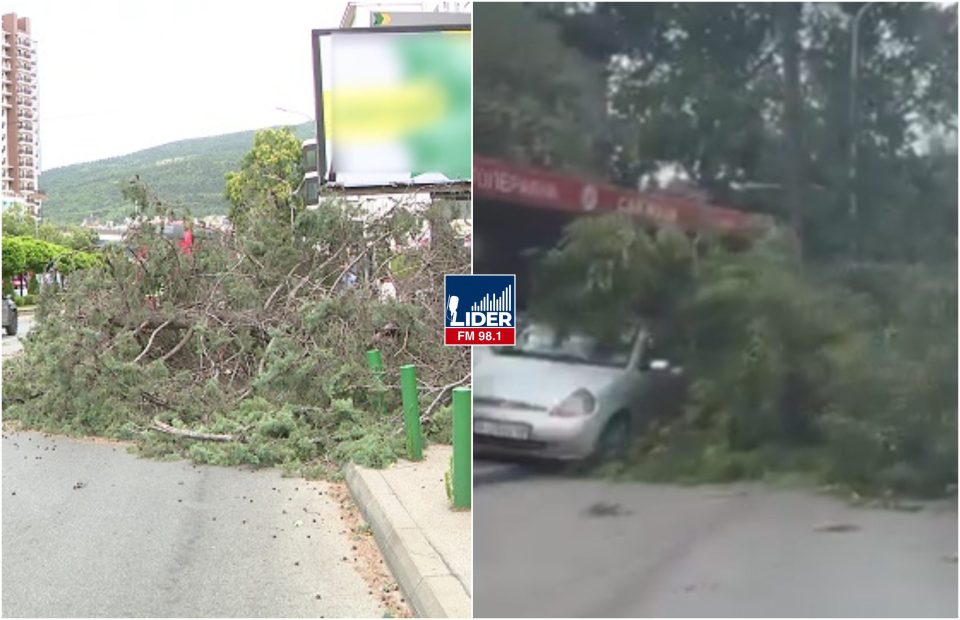 (ВИДЕО) Силно невреме го зафати Скопје: Паднати дрвја, оштетени кровови и автомобили