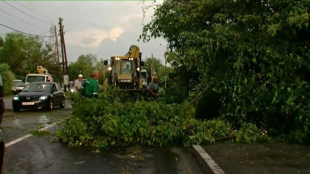 „Паднати дрвја, искршени кровови, нема струја“: Се санираат штетите од вчерашното невреме