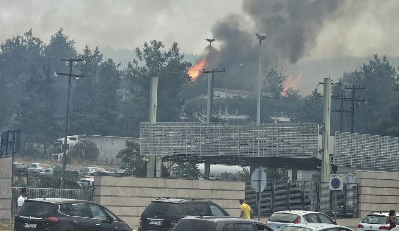 (ВИДЕО) Пожар во шумата до границата: Затворен граничниот премин Евзони