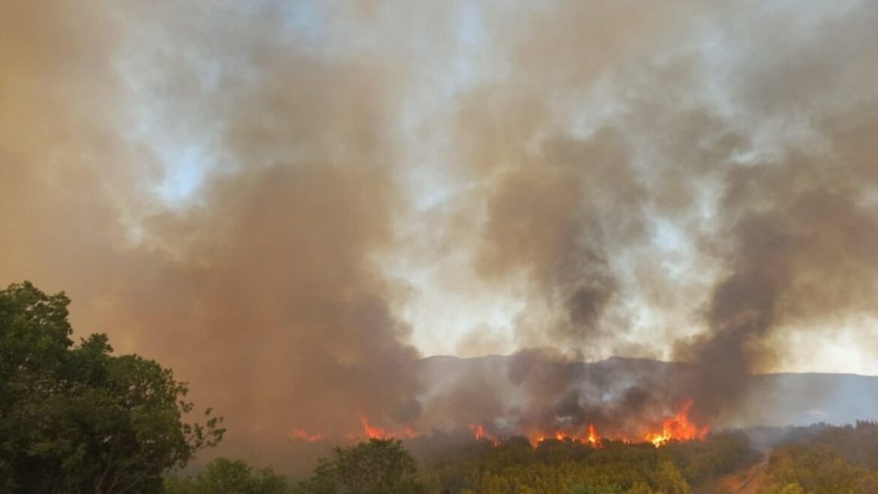 Пожарникарите немоќни пред огнената стихија: И понатаму гори на Серта