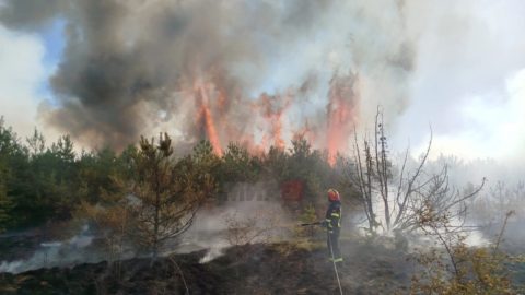 Борбата со пожарите продолжува – уште е критично на Серта