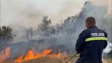 Противпожарните екипи се борат со девет активни шумски пожари низ Македонија, а најсериозниот пожар е на Осоговските Планини, велат од ЦУК