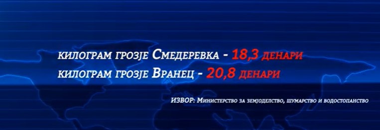 Најавени повисоки цени за откуп на винското грозје – смедеревката по 18,3 денари за килограм, а вранецот по 20,8 денари