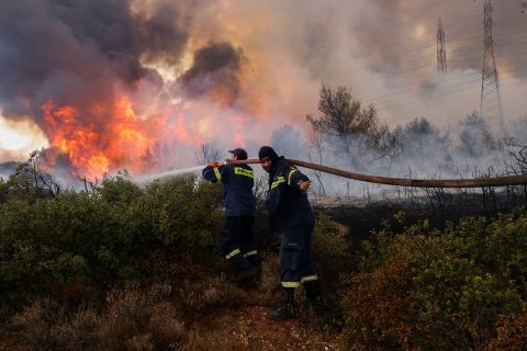 Херојските напори за гаснење го ставија пожарот кај Пехчево под контрола – изгубени огромни површини на квалитетна шума и сомнеж подметнување на пожарот