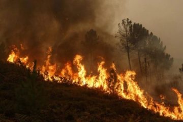 Пожарот во Мариово делумно под контрола благодарение на дождот, но борбата продолжува