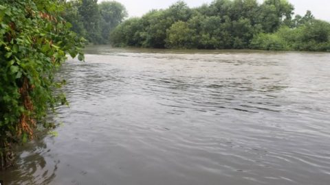 ТЕЛОТО НА ЖЕНА ПРОНАЈДЕНО ВО РЕКАТА ВАРДАР: ДНК анализа ќе покаже дали се работи за исчезнатата Лидија Трајковска