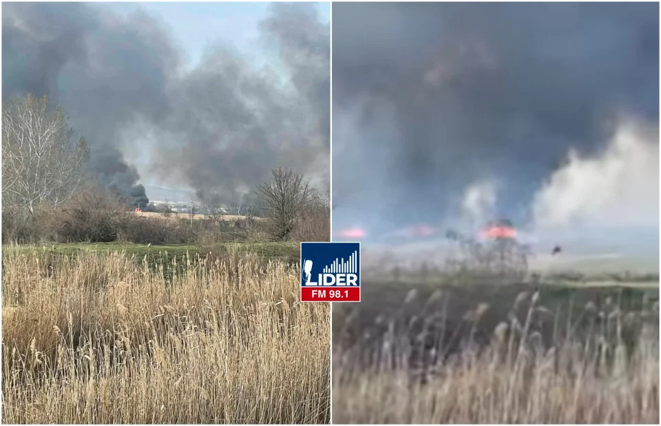 (ВИДЕО) Црн облак над Скопје: Повторно гори сува трева кај Петровец