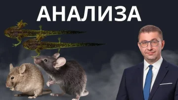 Анализа на утринско еспресо за тоа кои се глодарите и полноглавците за кои говори премиерот Христијан Мицкоски