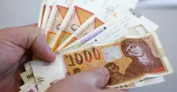 Од септември ново покачување на пензиите, сѐ уште не е одлучено дали ќе биде линеарно или процентуално