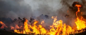 БАЛКАНОТ ВО ПЛАМЕН: Пожари во Грција, Албанија и Бугарија - висок ризик и меѓународна помош