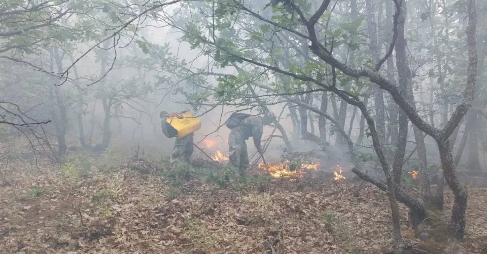 (ФОТО) Армијата на терен: Рамо до рамо со пожарникарите во Крушје и Џидимирци