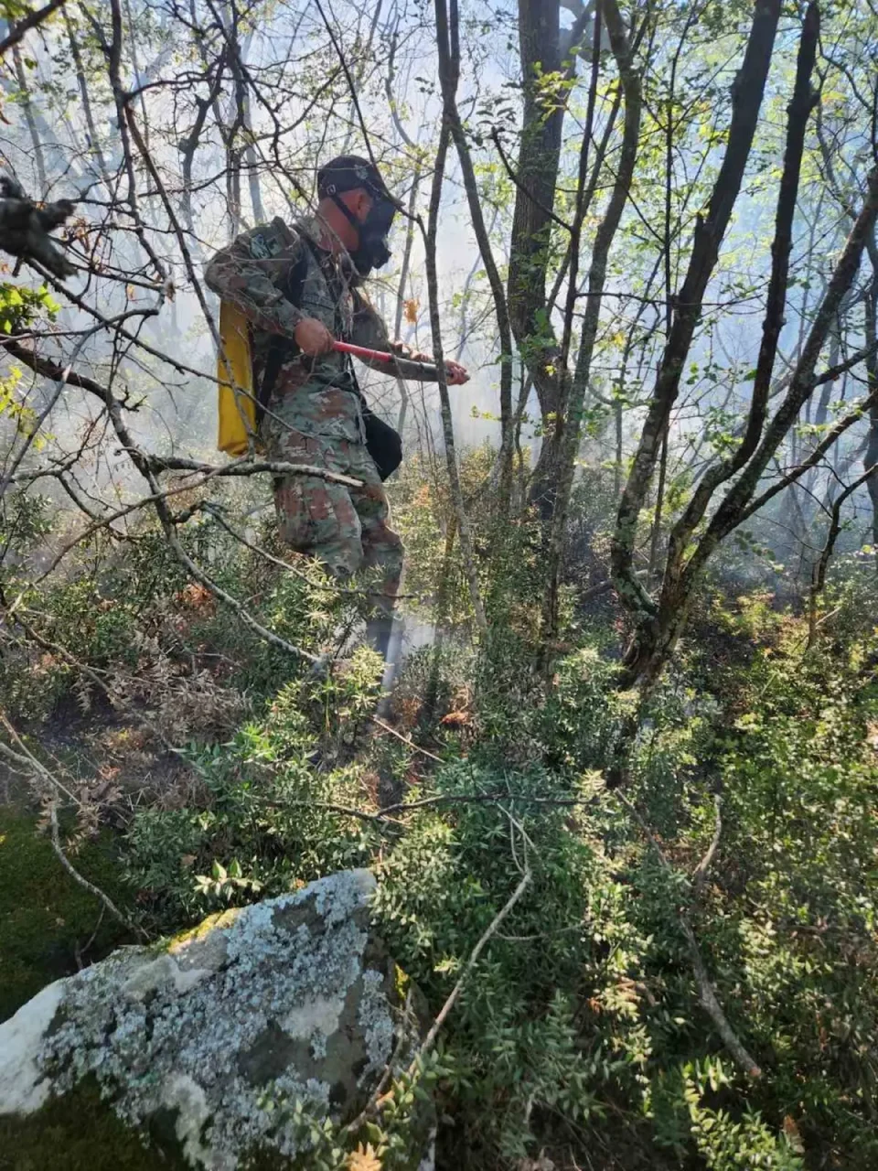 (ФОТО) Армијата на терен: Припадници од 2.пб/1.пбр го гаснат пожарот во Николиќ