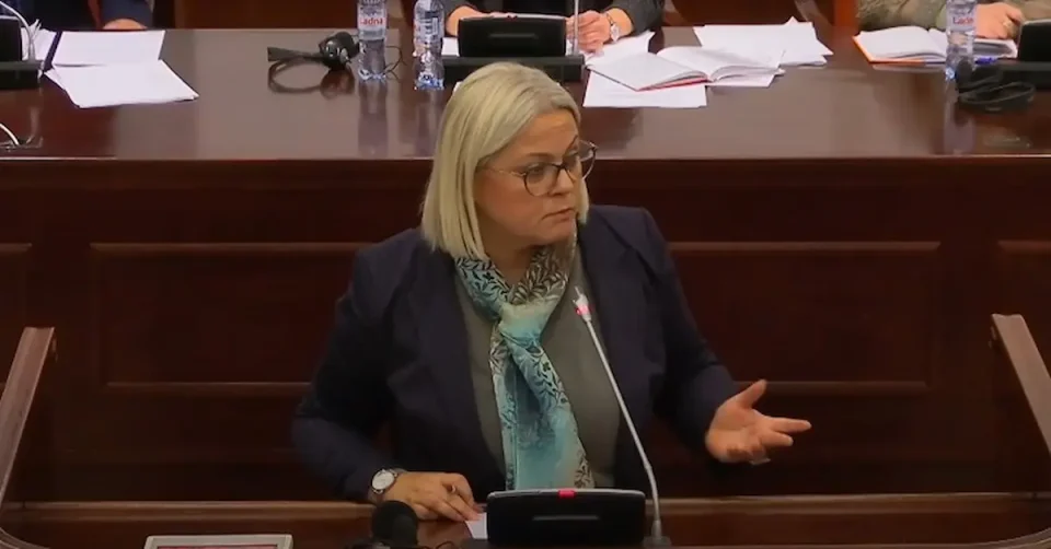 Стојаноска: СДСМ ги повлече амандманите затоа што немаше аргументи, Владата е подготвена да се справи со пожарите