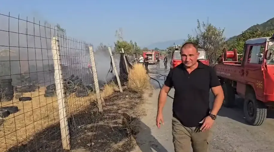 (ВИДЕО) АНГЕЛОВ СМИРУВА: Пожарот во Струмица е под контрола