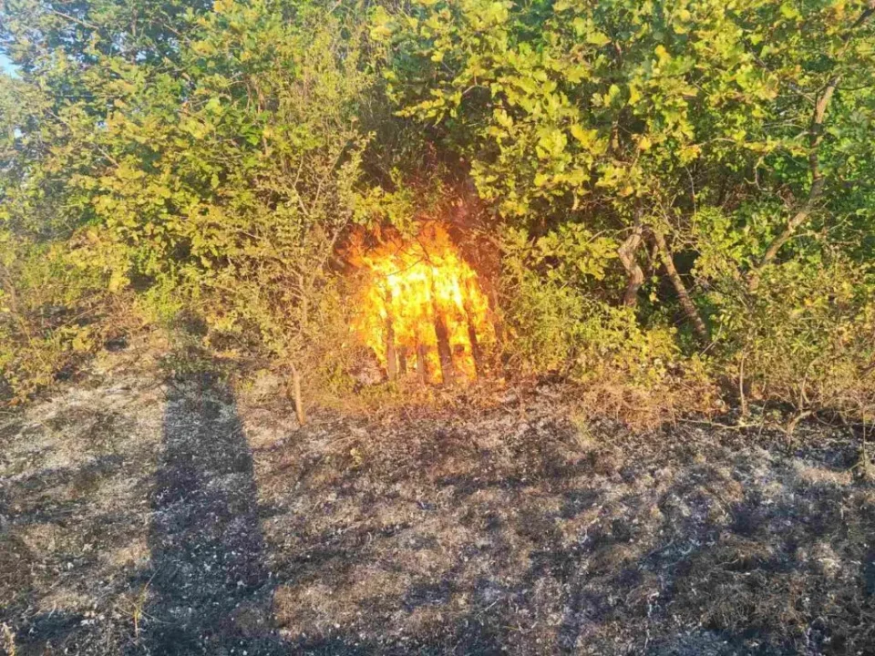 (ВИДЕО) ПРОНАЈДЕНИ ПАЛЕТИ СО БЕНЗИН ВО СМРЕКИ: Намерно потпален пожарот кај Блаце?