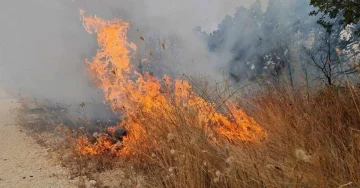 Пожар на планината Серта- гори шума