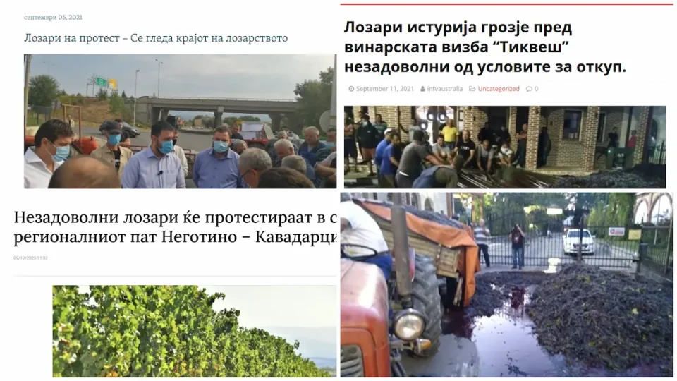 ДЕЗИНФОРМАЦИИТЕ НА ФИЛИПЧЕ: Тазе вратен од крстарење се бори за лозарите, а со СДСМ се истураше камиони грозје и се дозволи винариите да кратат до 8% од цената со закон