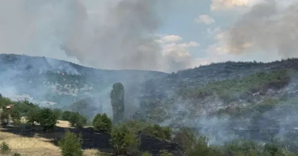 Пожари низ земјава: Два активни, три под контрола