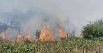 23 ПОЖАРИ НА ОТВОРЕНО: 17 изгаснати, три се под контрола