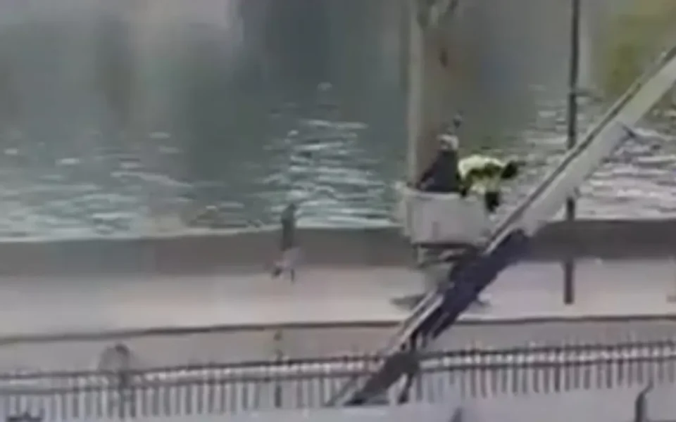 (ВИДЕО) КАКО ВО АКЦИОНЕН ФИЛМ: Нова снимка покажува како крадците од Лувр си заминуваат со кралскиот накит вреден 88 милиони евра