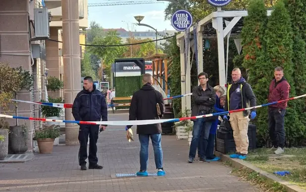 ХОРОР ВО СРБИЈА: Мртво бебе пронајдено на улица во Нови Сад
