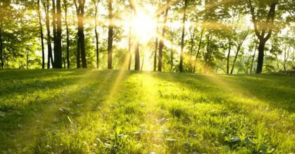 ПО МАГЛИВО УТРО, ТОПЛО И СОНЧЕВО ВРЕМЕ: Денеска температурите ќе достигнат до 23 степени