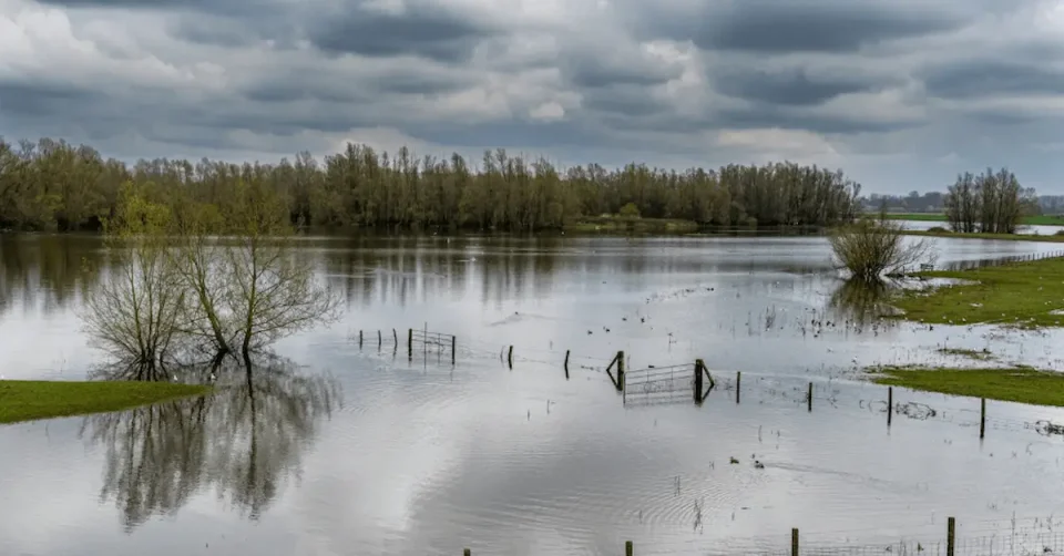 ОБИЛНИ ДОЖДОВИ ПРЕДИЗВИКАА РИЗИК ОД ПОПЛАВИ: Излевања, одрони и високи водостоји во повеќе региони низ државата