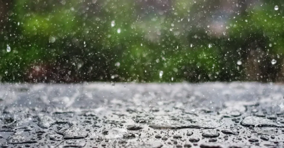 ВРЕМЕТО ДЕНЕС: Дожд, ветер и услови за појава на невреме