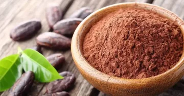 КАКАОТО ГО ШТИТИ СРЦЕТО: Ново истражување открива дека го спречува оштетувањето од долго седење