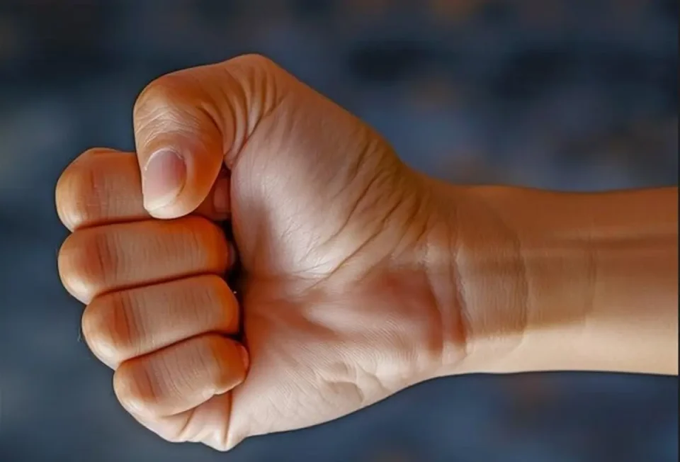 ОХРИЃАНЕЦ ЈА НАПАДНАЛ СВОЈАТА МАЈКА: 24-годишник приведен веднаш по инцидентот