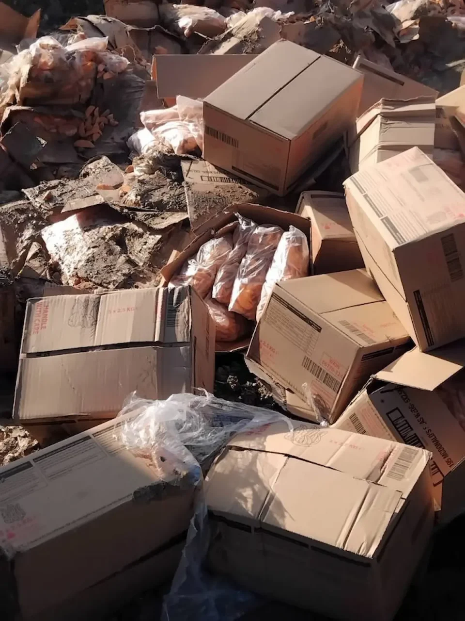 (ФОТО) ЗАПЛЕНЕТА НЕБЕЗБЕДНА ХРАНА: Помфрит и пилешки стек со поминат рок уништени од АХВ